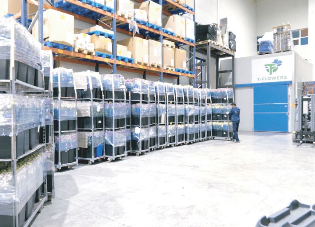 Magazzino T-Flowers con scaffalature e carrelli